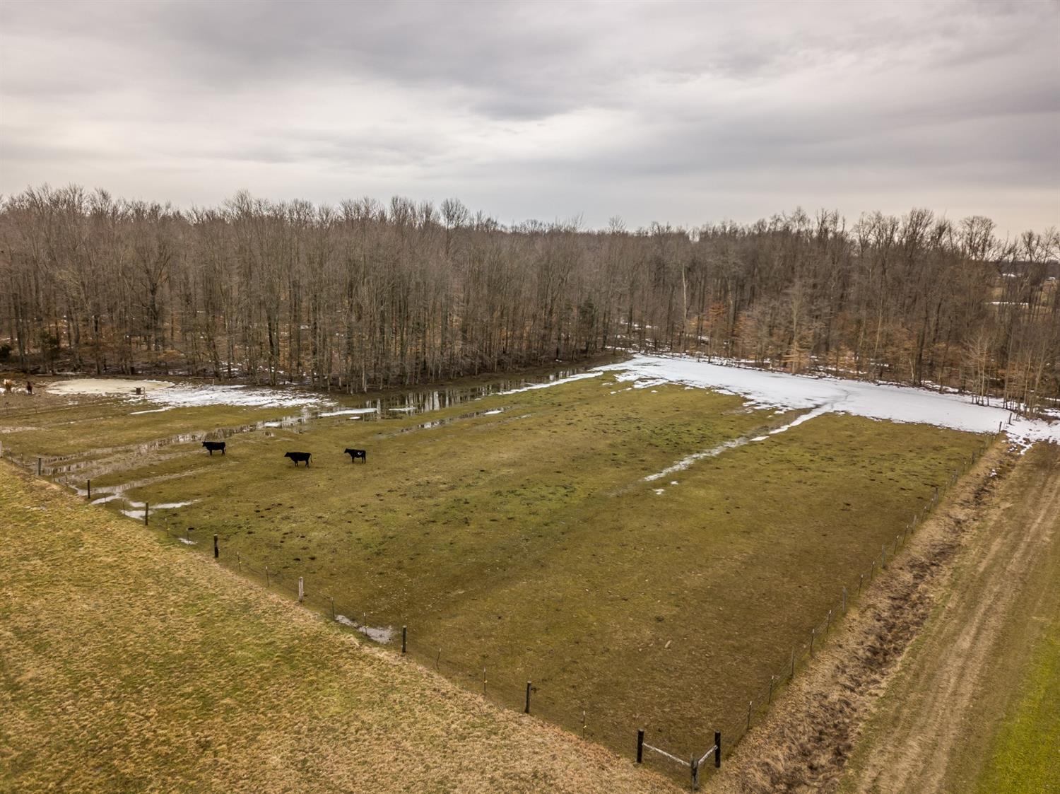 1944 Aaron Road Bennington, IN 47011 - Photo 7 of 40