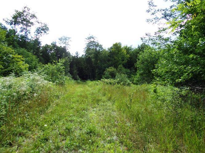 315 Lyford Road Milo, ME 04463 - Photo 1 of 9 Photo