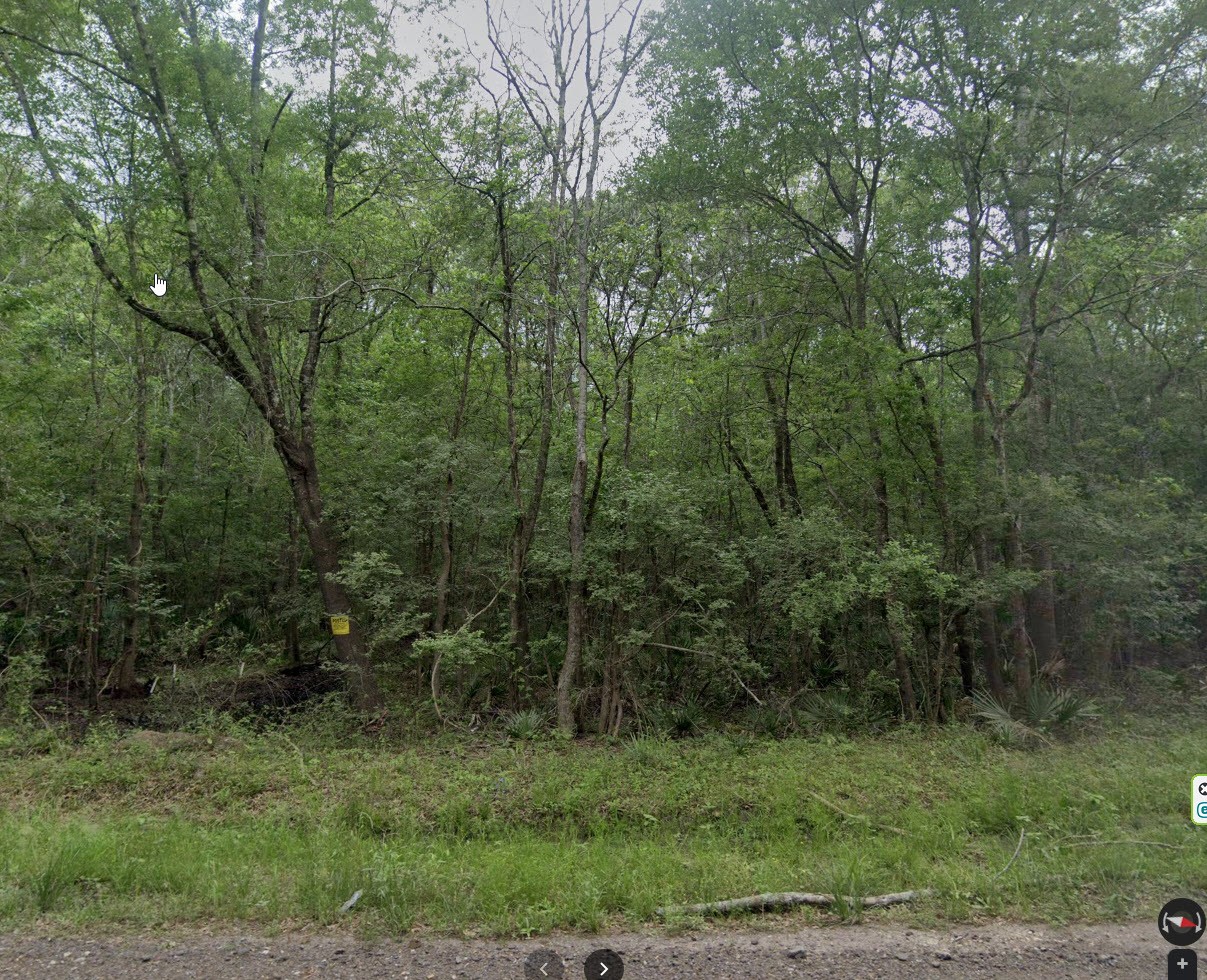 0 Harris Road Conroe, TX 77302 - Photo 4 of 7