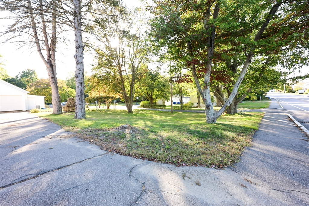 354 Pond Street, Unit 354 Braintree, MA 02184 - Photo 30 of 30 a view of a yard with plants and trees