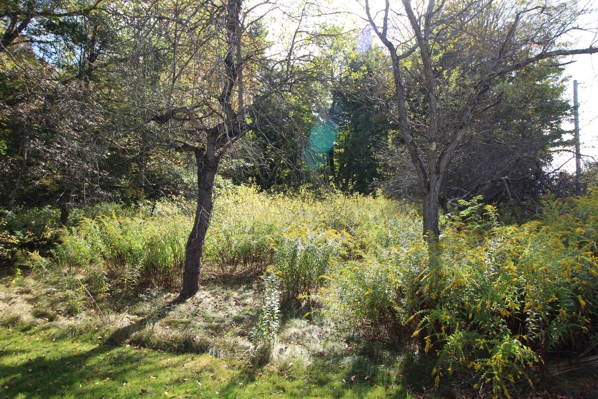 0 Gardner Road Templeton, MA 01468 - Photo 6 of 8 Gallery Image 6