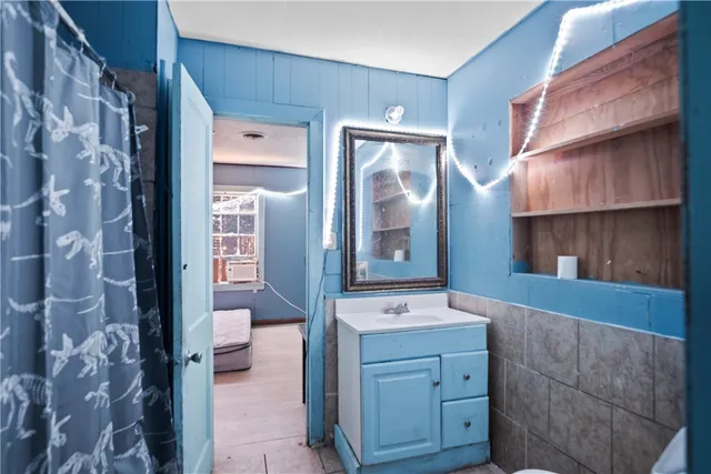 a bathroom with a sink a mirror and a shower