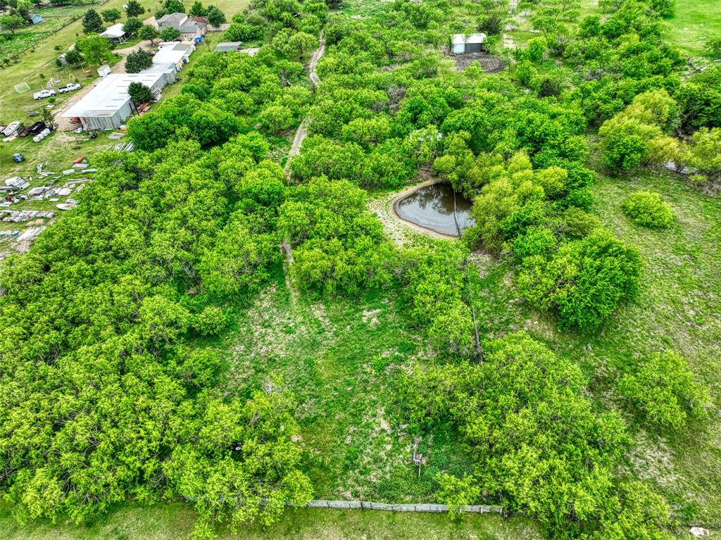 206 185th Rice, TX 75155 - Photo 7 of 23 a view of a garden with a tree