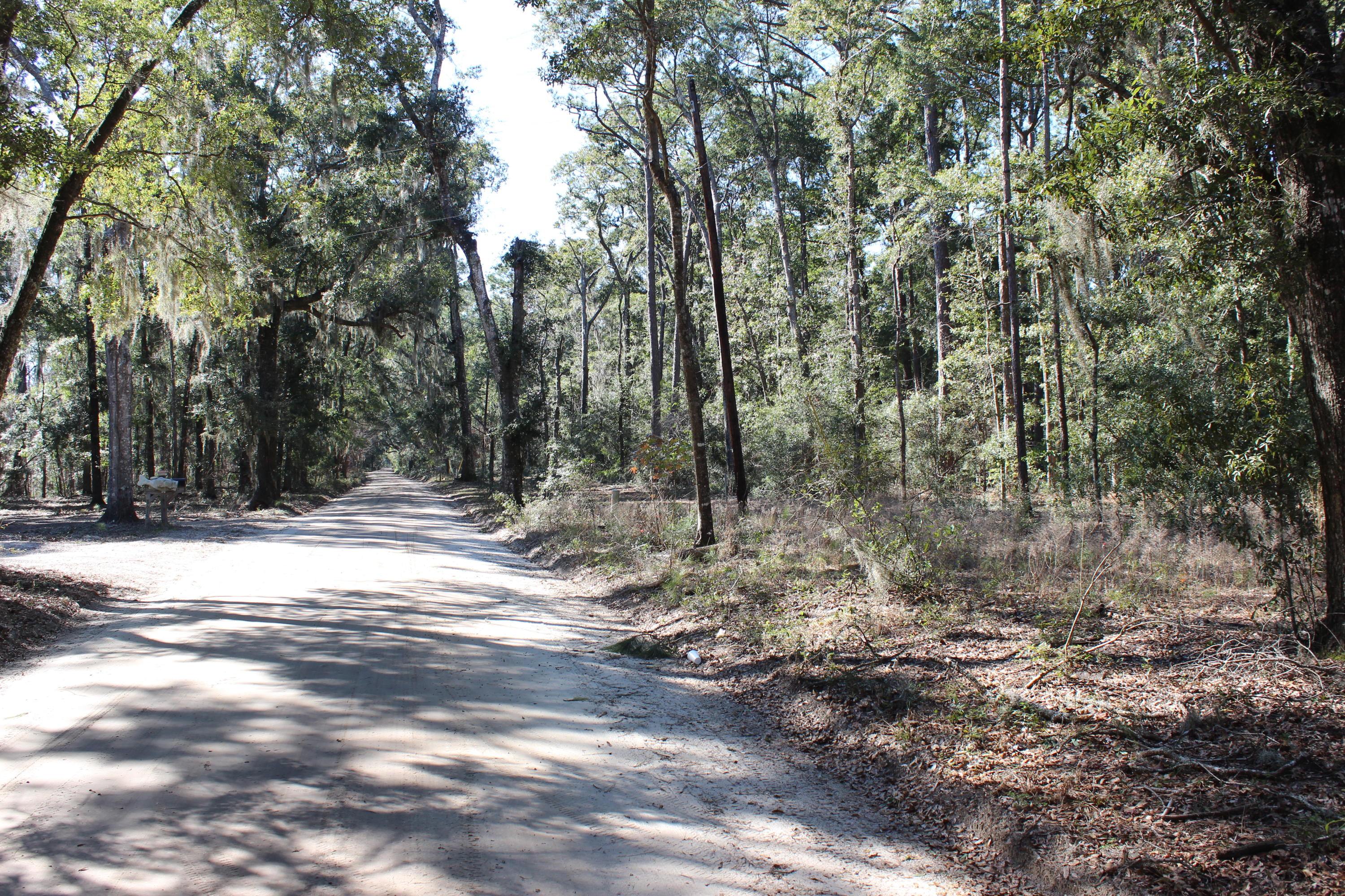 8610 Raccoon Island Road Edisto Island, SC 29438 - Photo 1 of 10 IMG_3536