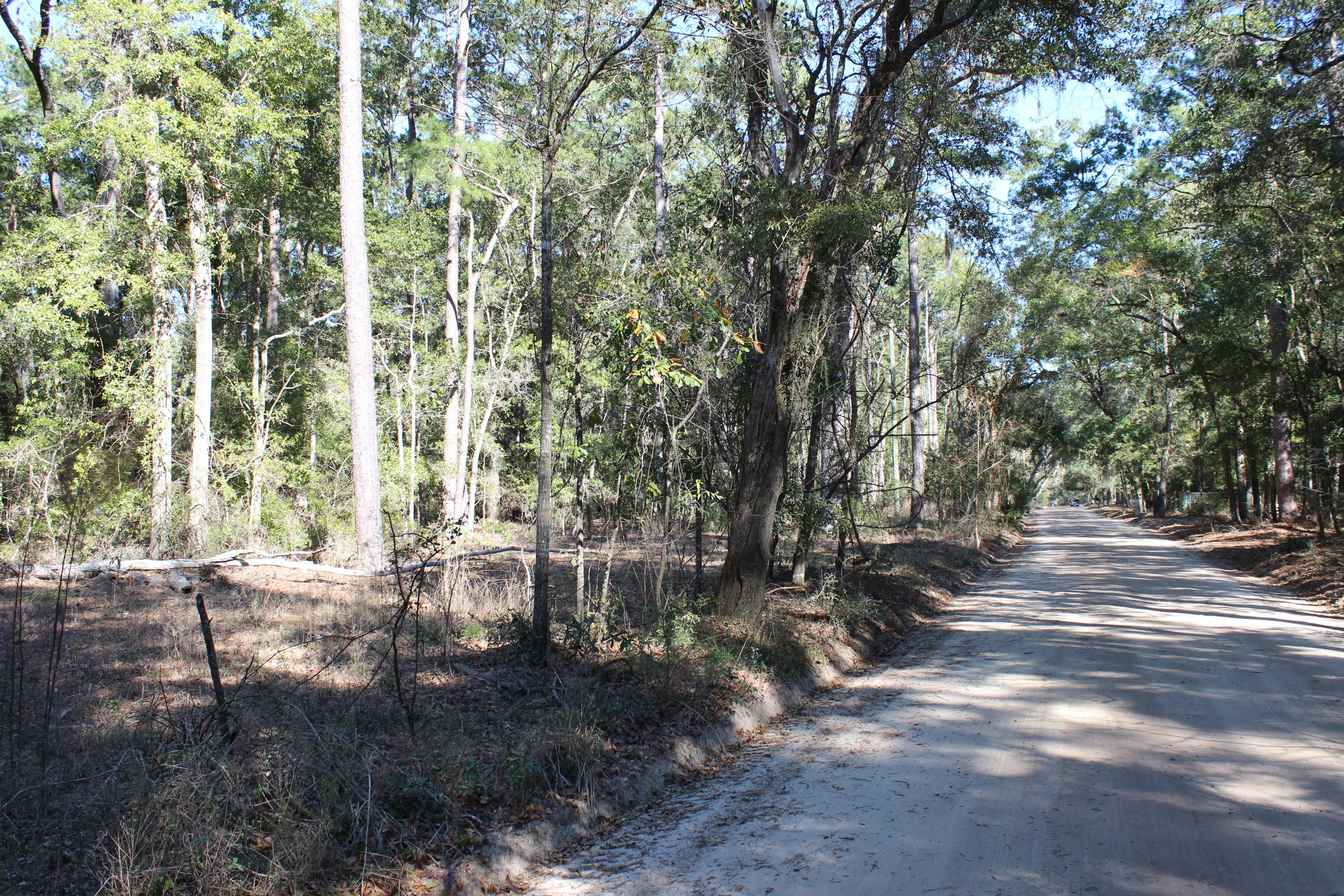 8610 Raccoon Island Road Edisto Island, SC 29438 - Photo 3 of 10 IMG_3537