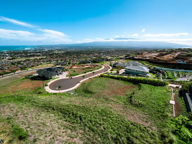 an aerial view of residential houses with outdoor space and lake view