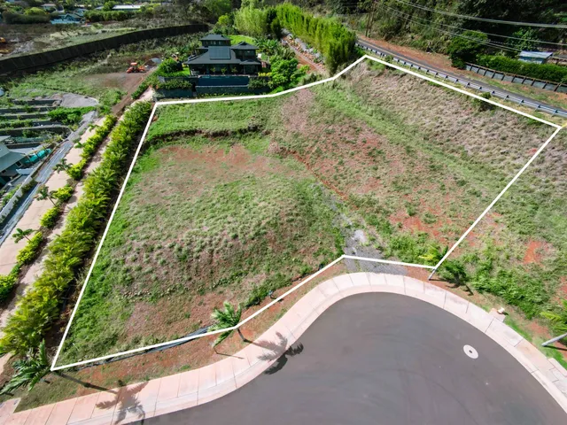 a view of a yard with potted plants