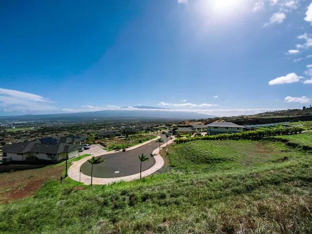 a view of a garden with a lake