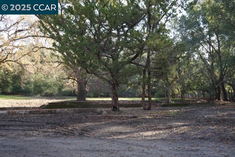 0 Alameda Diablo Diablo, CA 94528 - Photo 2 of 8 a view of outdoor space with trees