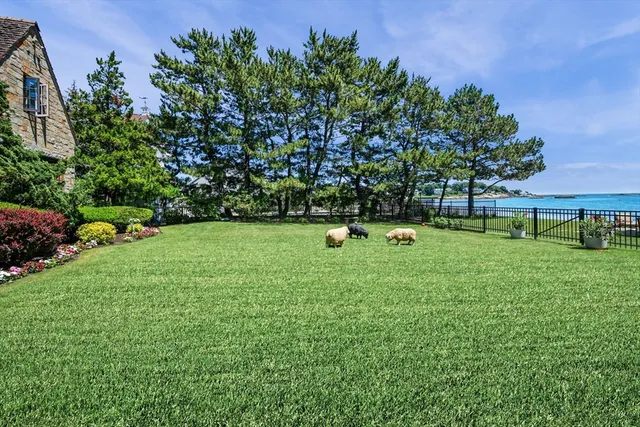 a view of a garden with a bench and a fire pit