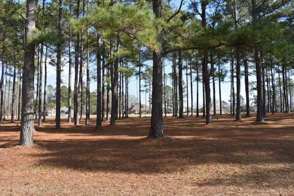 $48,000 | 400 Pinelake Court, Manning, SC 29102