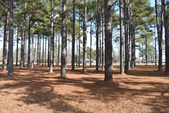 $48,000 | 400 Pinelake Court, Manning, SC 29102