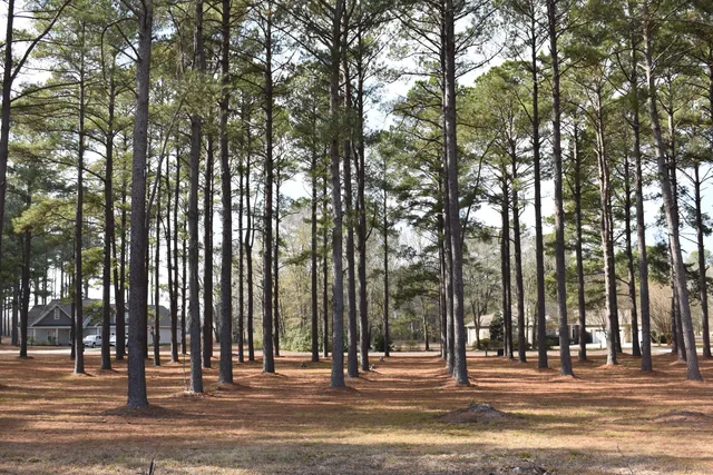 $48,000 | 400 Pinelake Court, Manning, SC 29102