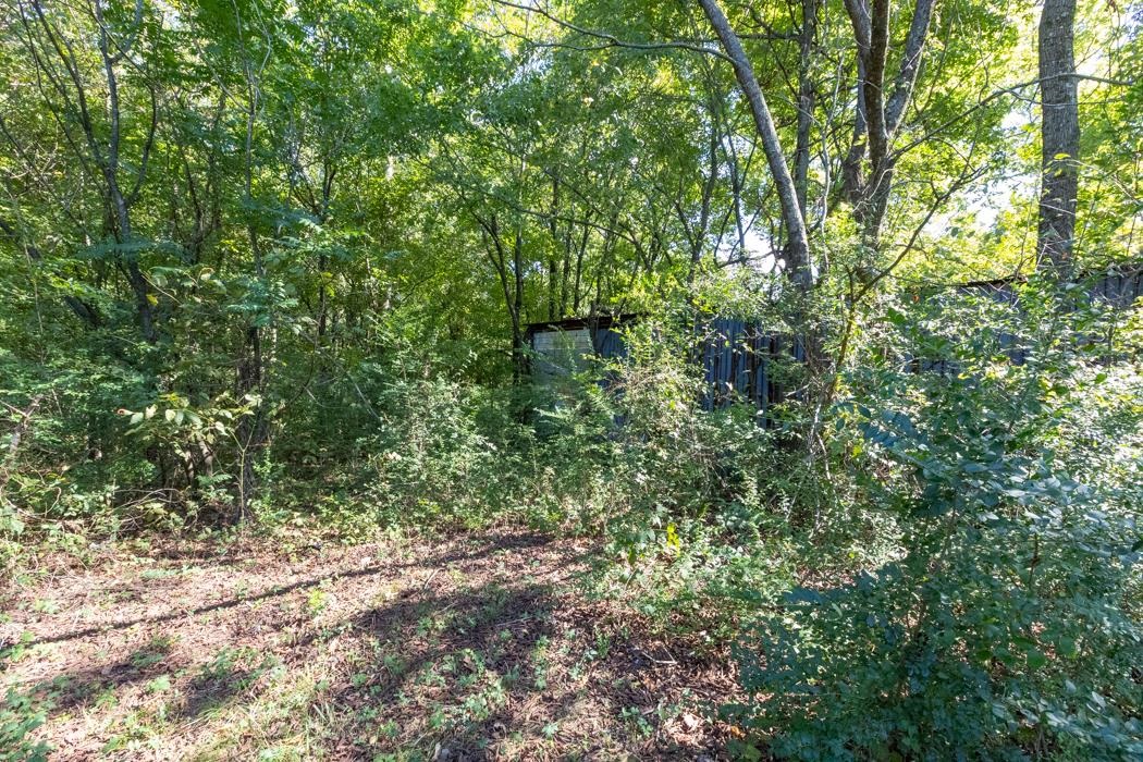3794 Horn Lake Road Memphis, TN 38109 - Photo 9 of 15 a view of a yard with plants and large trees