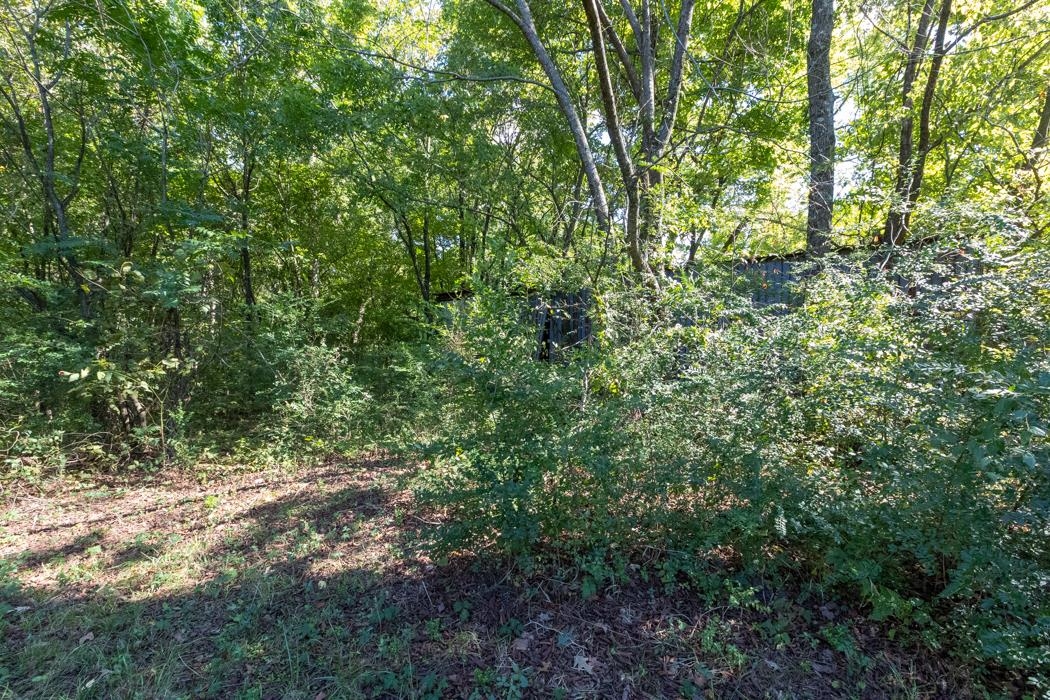 3794 Horn Lake Road Memphis, TN 38109 - Photo 10 of 15 a view of a lush green forest