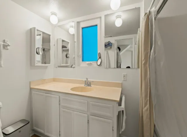 a bathroom with a sink and a mirror