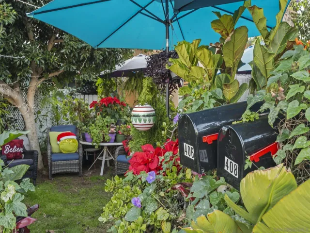 a view of a flower in a garden