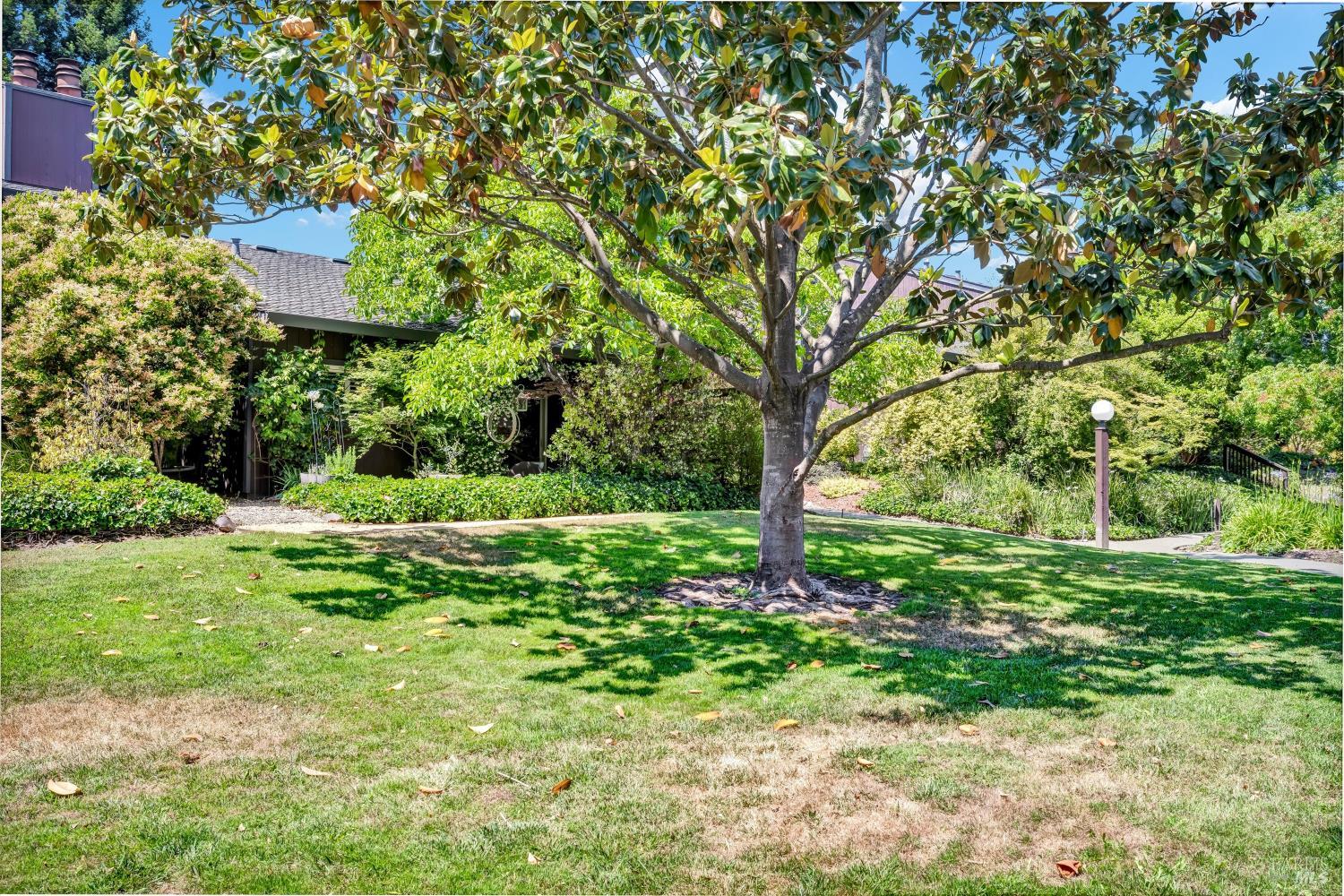 264 Los Alamos Road Santa Rosa, CA 95409 - Photo 16 of 31