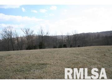 2167 Burns Road Anna, IL 62906 - Photo 1 of 6 Gallery Image 1