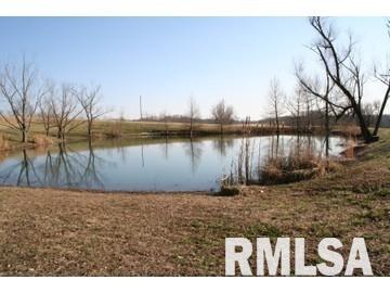 2167 Burns Road Anna, IL 62906 - Photo 3 of 6 Gallery Image 3