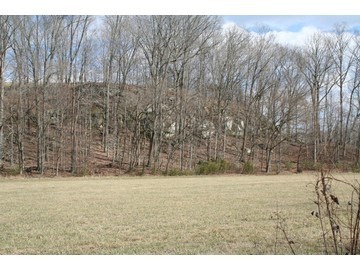 2167 Burns Road Anna, IL 62906 - Photo 4 of 6 Gallery Image 4