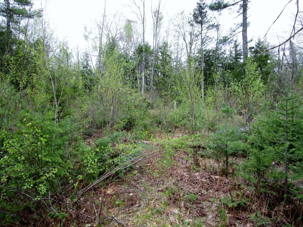 490 Waterville Road Unity, ME 04988 - Photo 21 of 22 Land/Lot