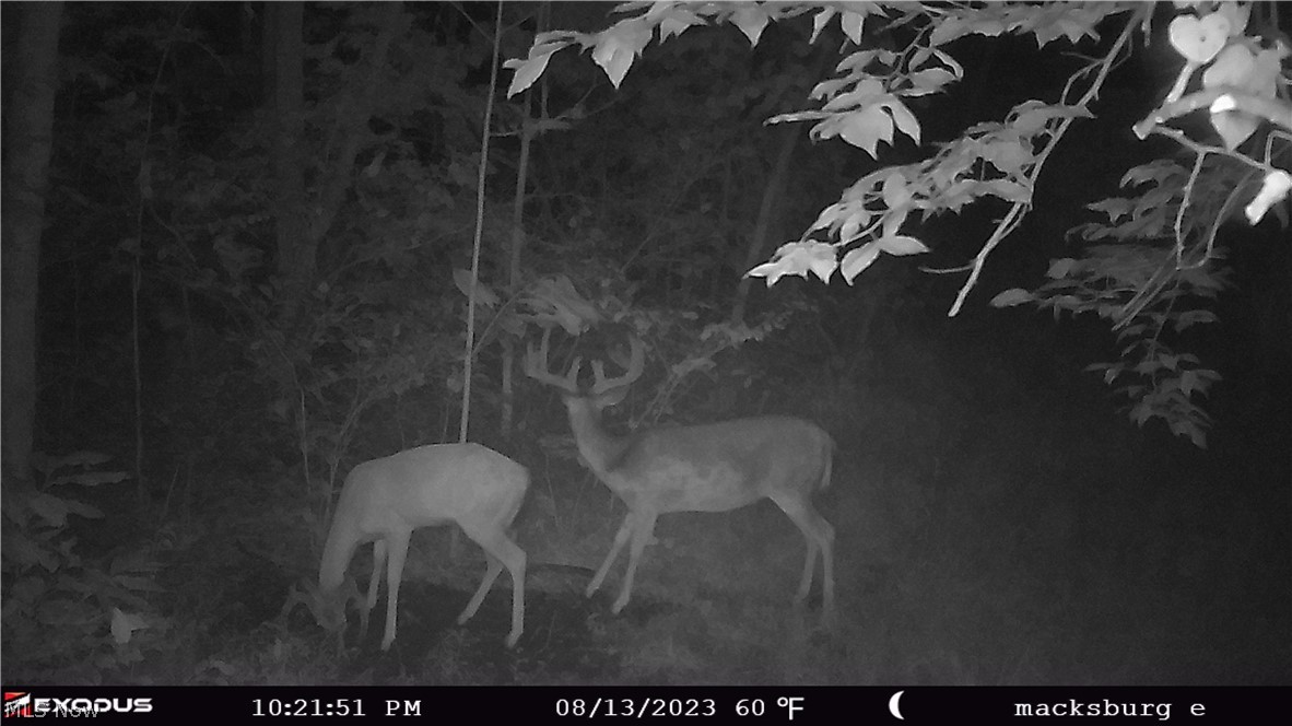 37500 Goose Run Road Dexter City, OH 45727 - Photo 46 of 50