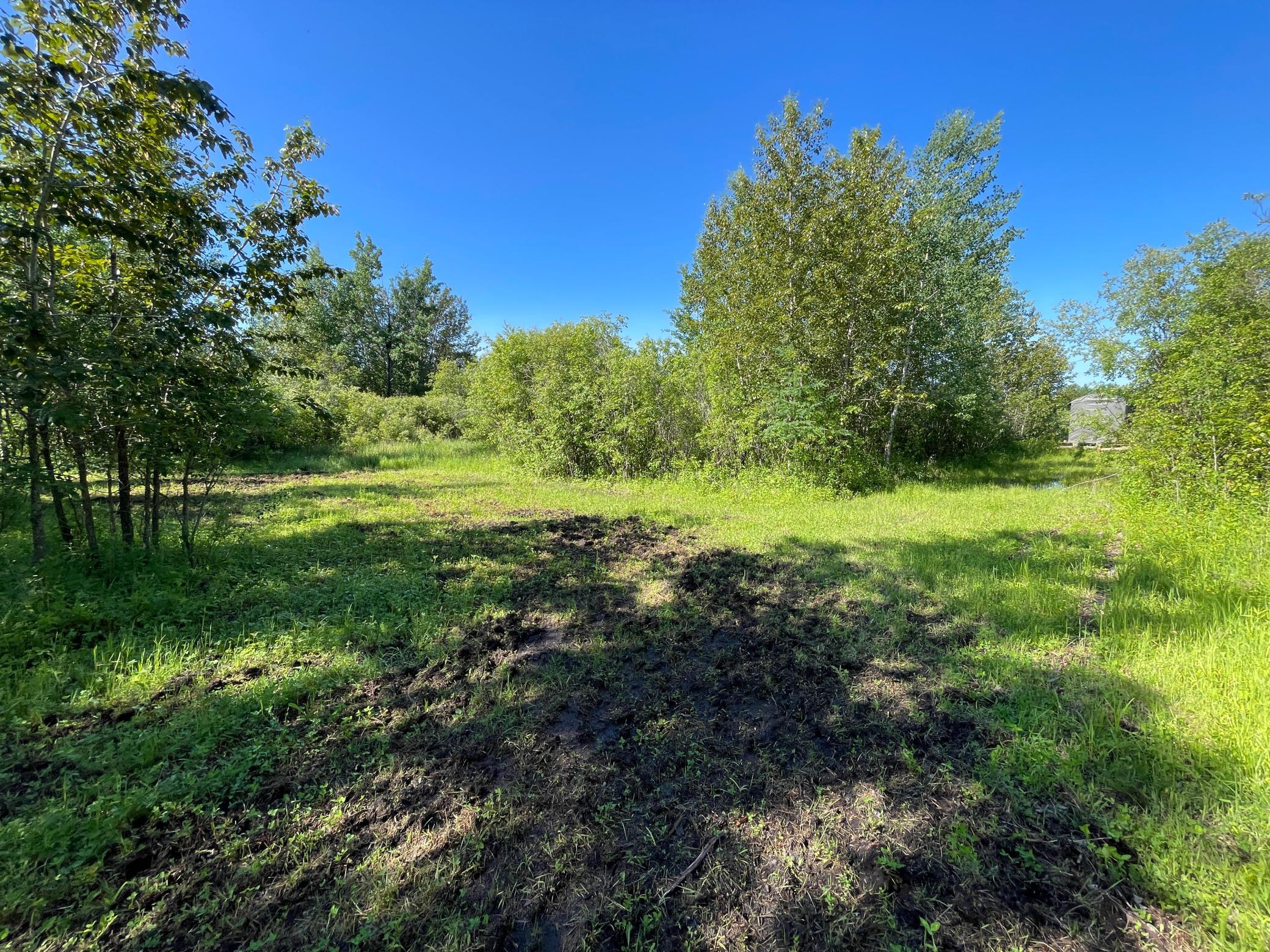 Tbd 440th Avenue Roseau, MN 56751 - Photo 47 of 80