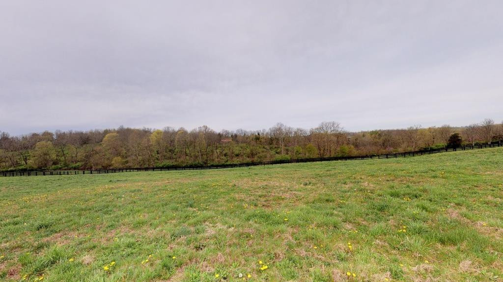 2905 Hifner Road Versailles, KY 40383 - Photo 59 of 61 Listing Photo