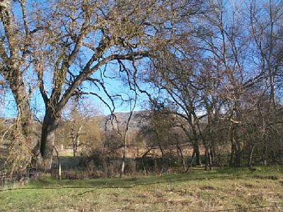 0 Squaw Valley Road Squaw Valley, CA 93675 - Photo 2 of 2 Front of lot.