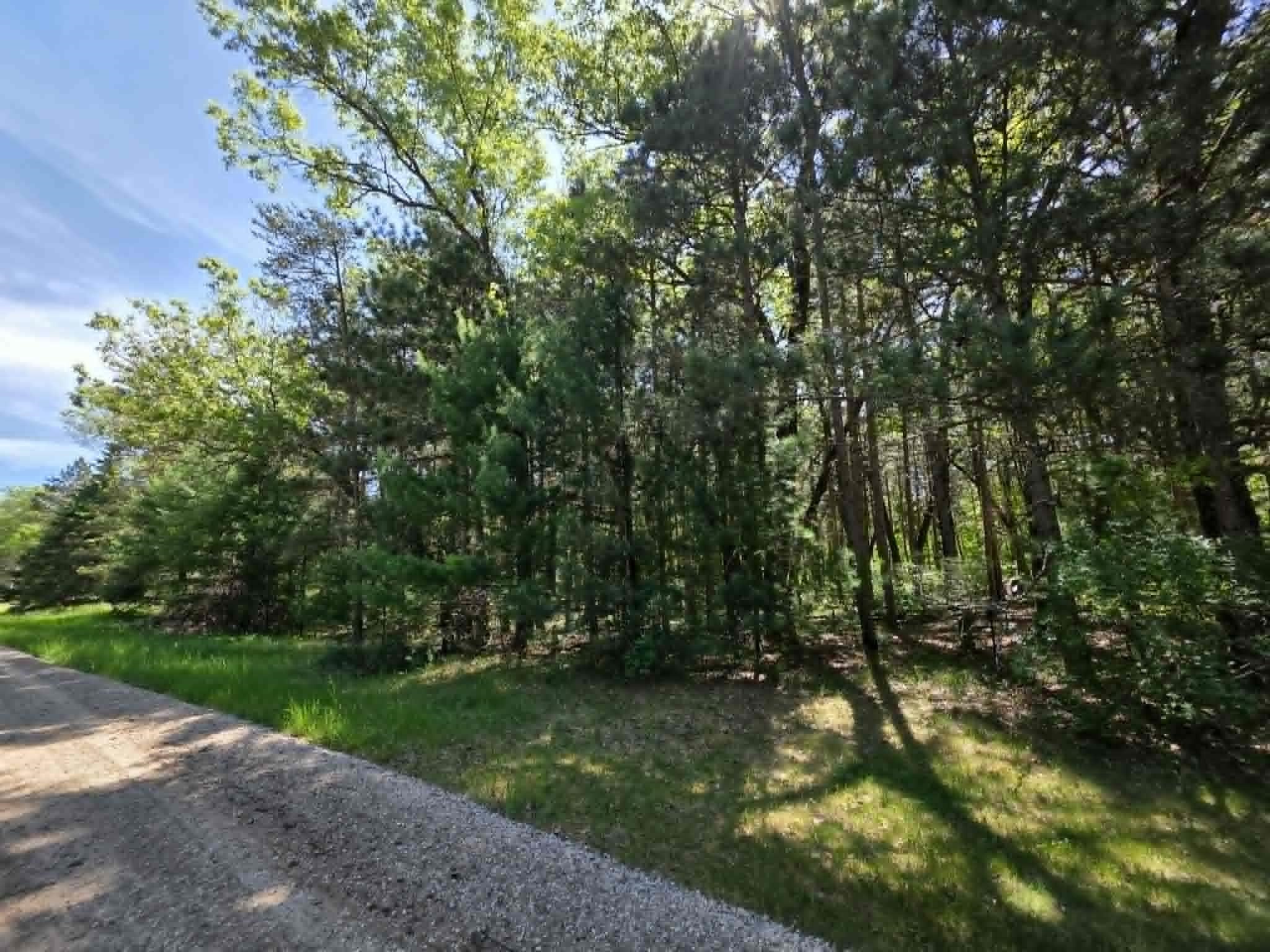 Lot 4 Czech Friendship, WI 53934 - Photo 3 of 7