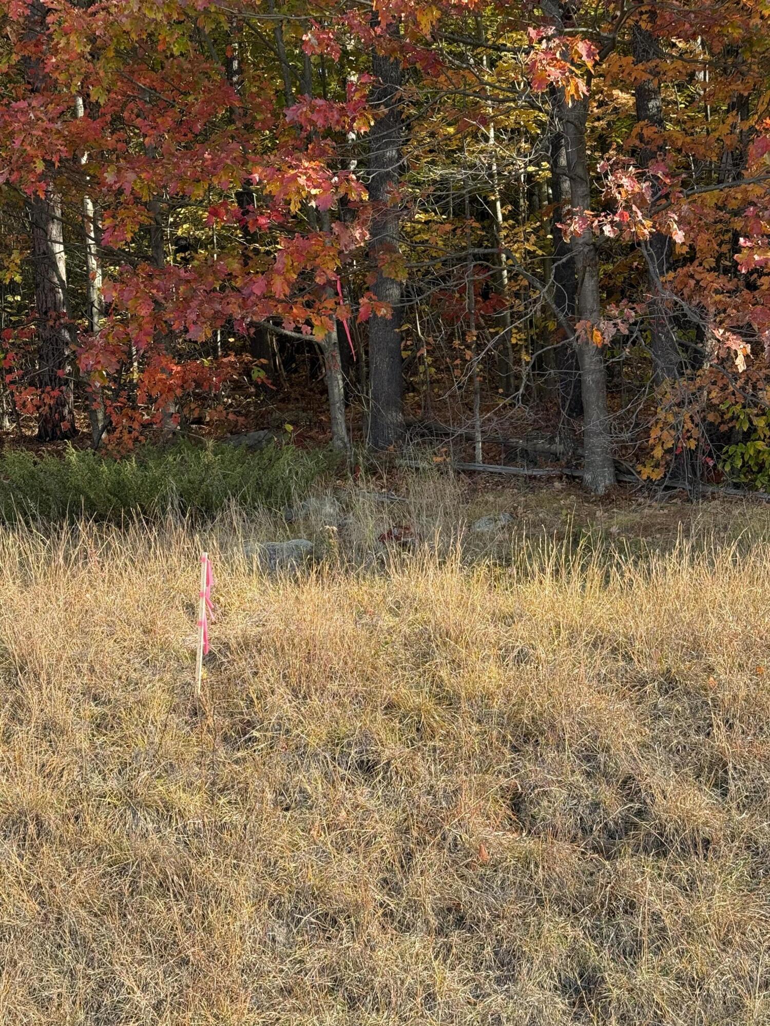 4-21a Walkers Mills Road Bethel, ME 04217 - Photo 4 of 12 IMG_6810