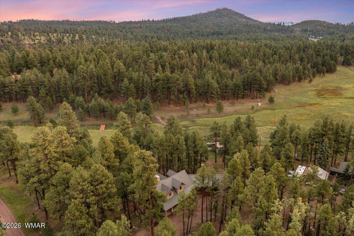 36 County Road Alpine, AZ 85920 - Photo 60 of 70 Gallery Image 60