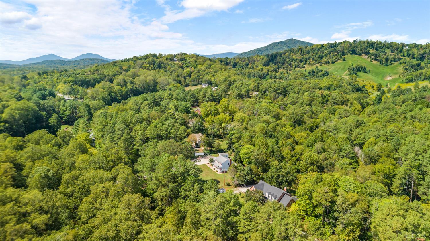 6707 Coffee Road Forest, VA 24551 - Photo 9 of 79 Gallery Image 9