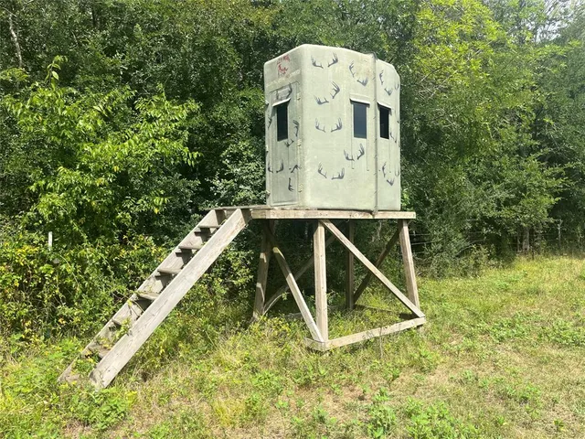 a aerial view of a house with swimming pool and large trees