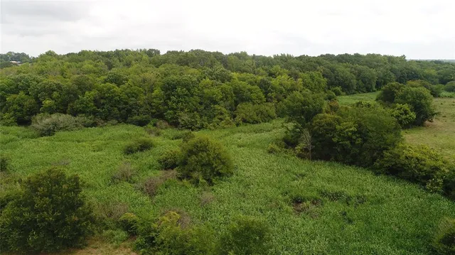 a view of a green field with lots of trees