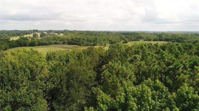 a view of a city and mountains