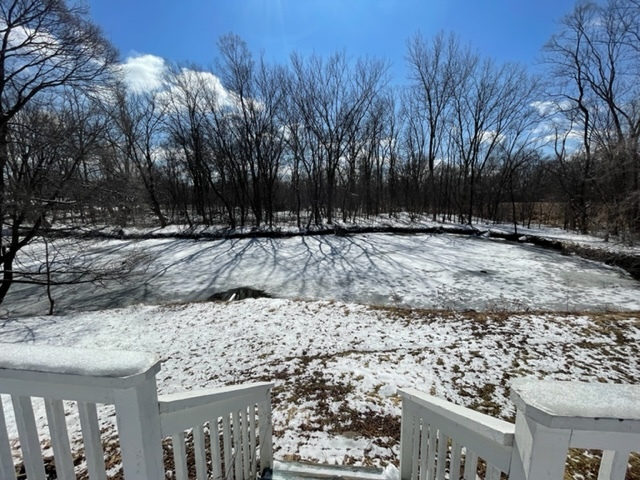 25W271 Foster Avenue Roselle, IL 60172 - Photo 4 of 11 a view of a yard covered with snow in the yard