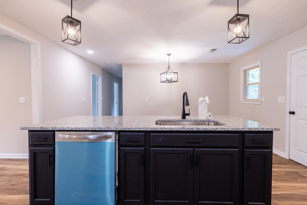 9060 County Line Road Midland, GA 31820 - Photo 4 of 20