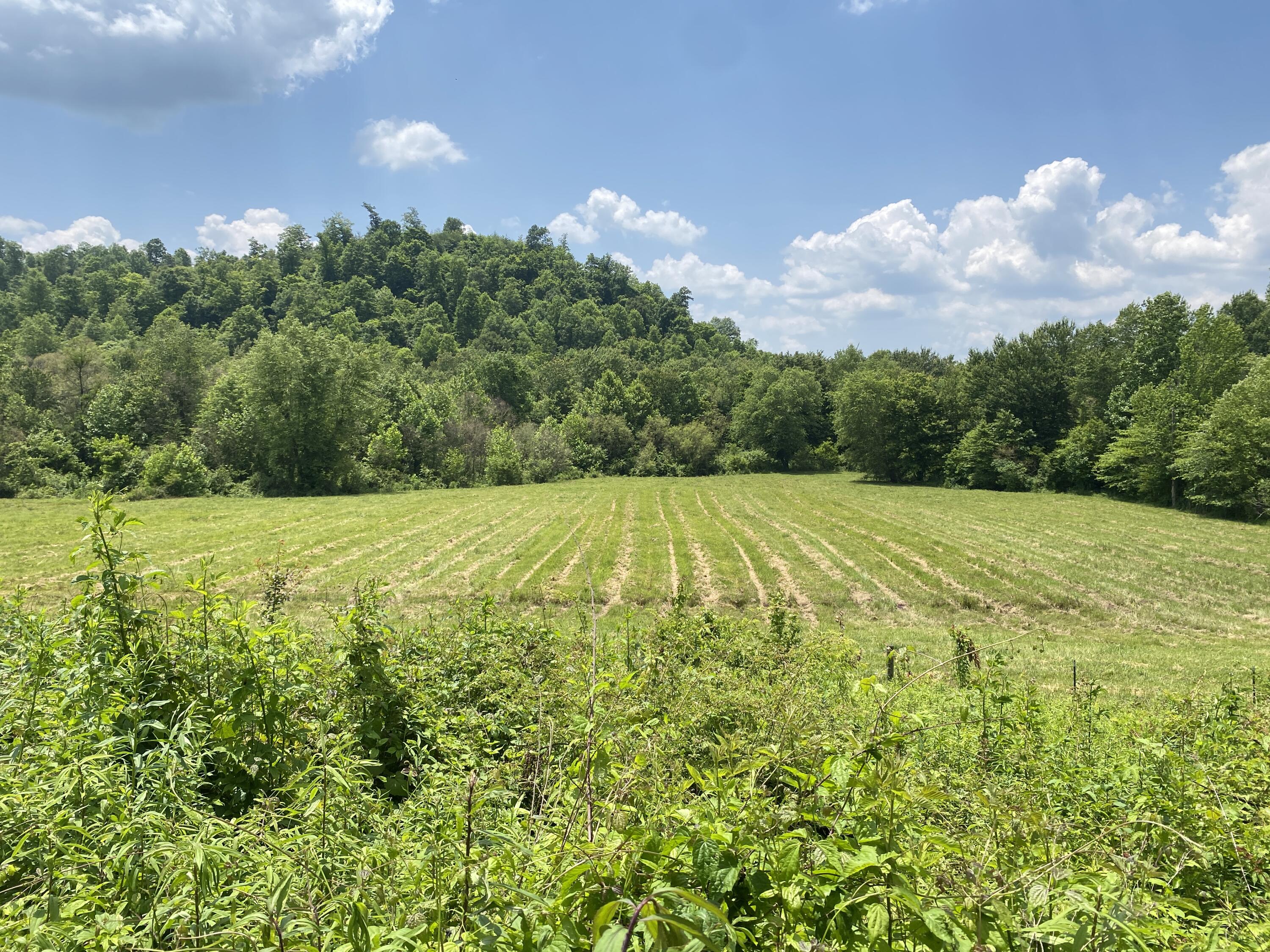 648 Hayes Creek Road Strunk, KY 42649 - Photo 24 of 45 IMG_7217