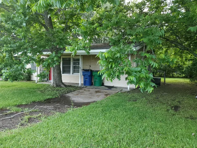 a view of a backyard with large trees and plants