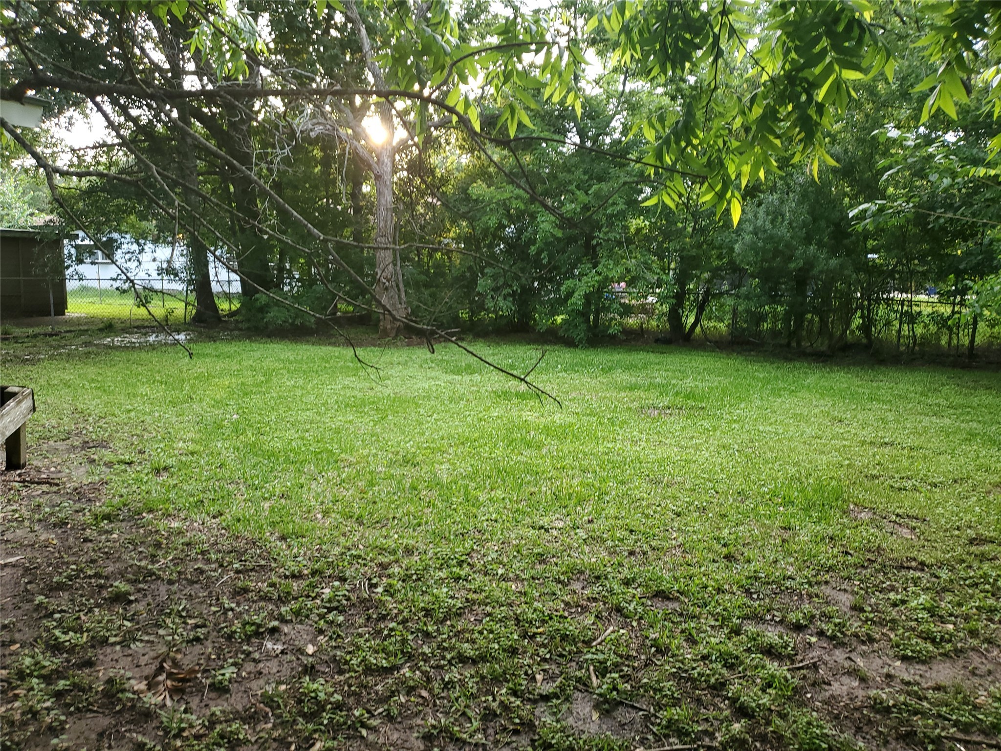 905 East Mulberry Street Angleton, TX 77515 - Photo 5 of 8 a view of a trees in a yard