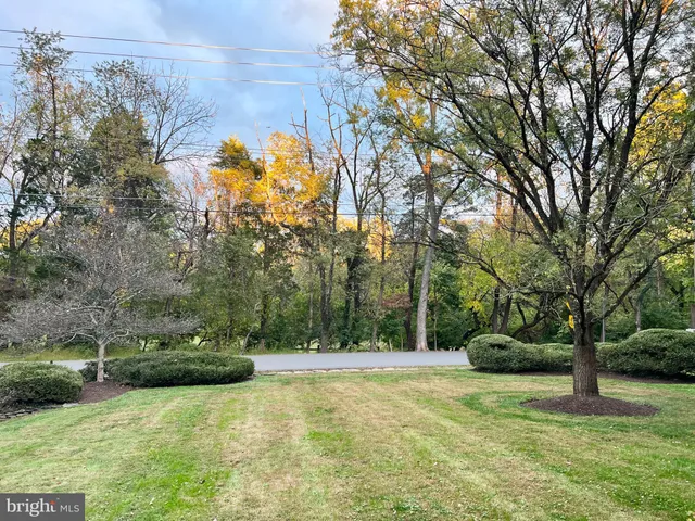 a view of backyard with tree