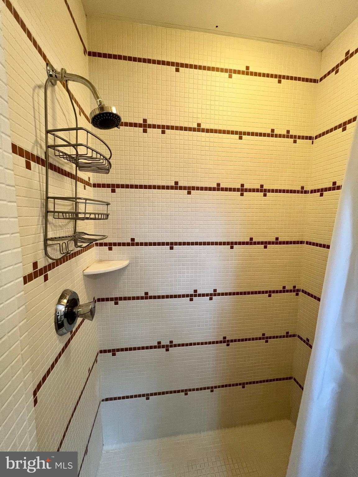 1312 Kurtz Road McLean, VA 22101 - Photo 48 of 62 a bathroom with a shower