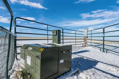 a view of ocean with a large tree