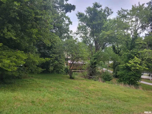 $7,000 | Tbd South J Street, Jonesboro, IL 62952