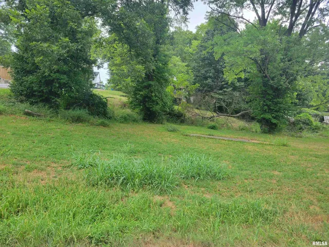 $7,000 | Tbd South J Street, Jonesboro, IL 62952