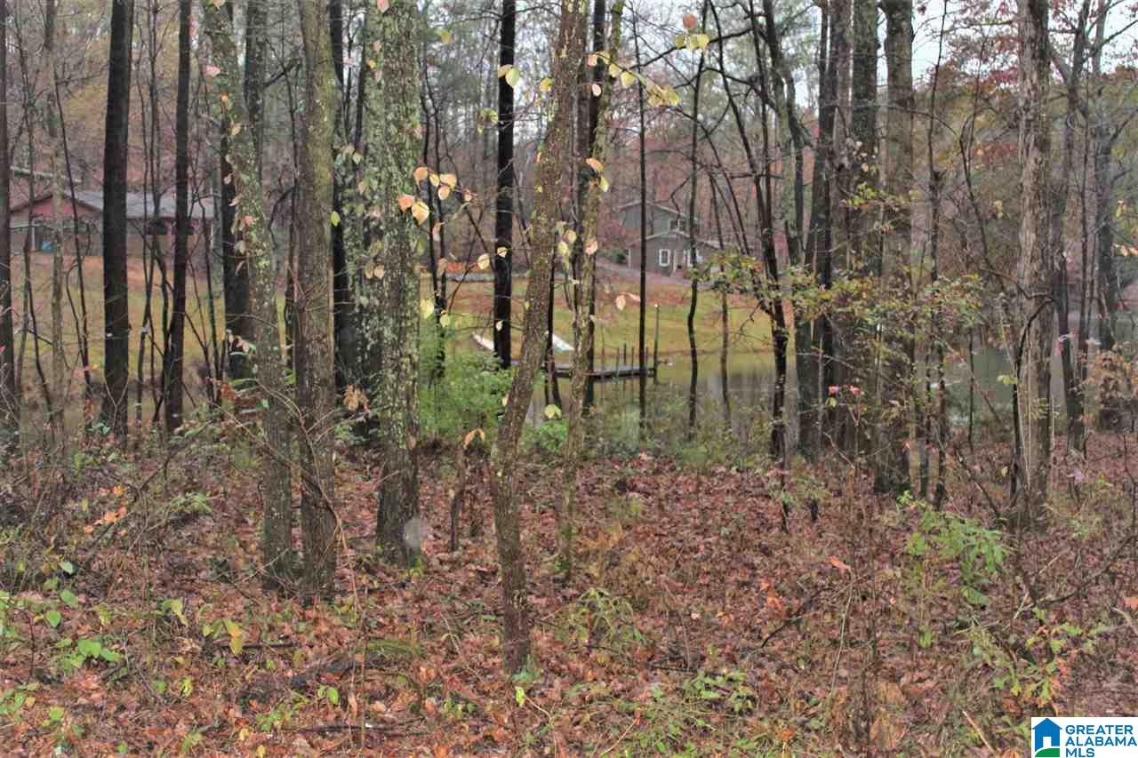 0 County Road 921, Unit 2 Delta, AL 36258 - Photo 13 of 17