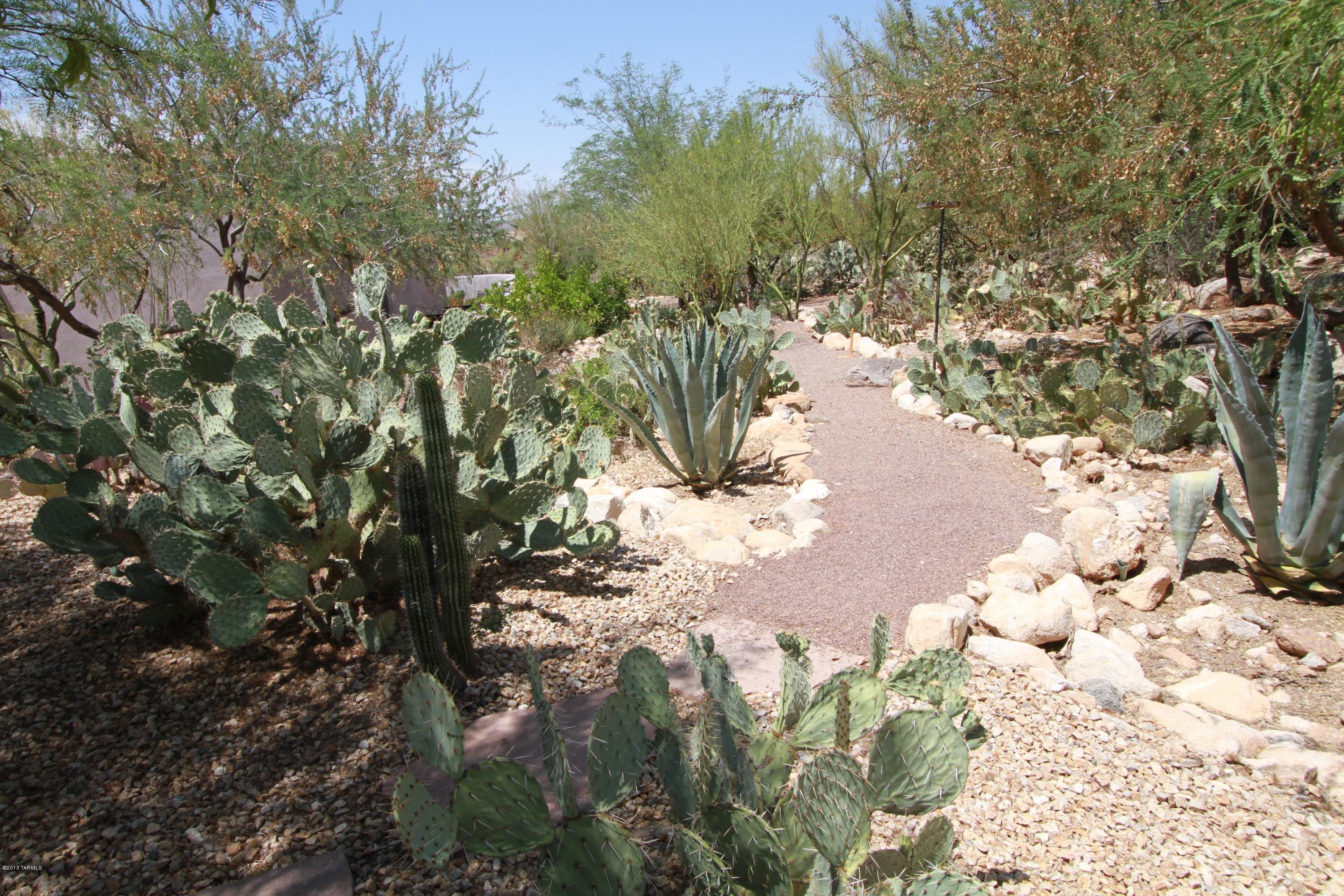 1909 East Buck Ridge Place Tucson, AZ 85737 - Photo 33 of 44