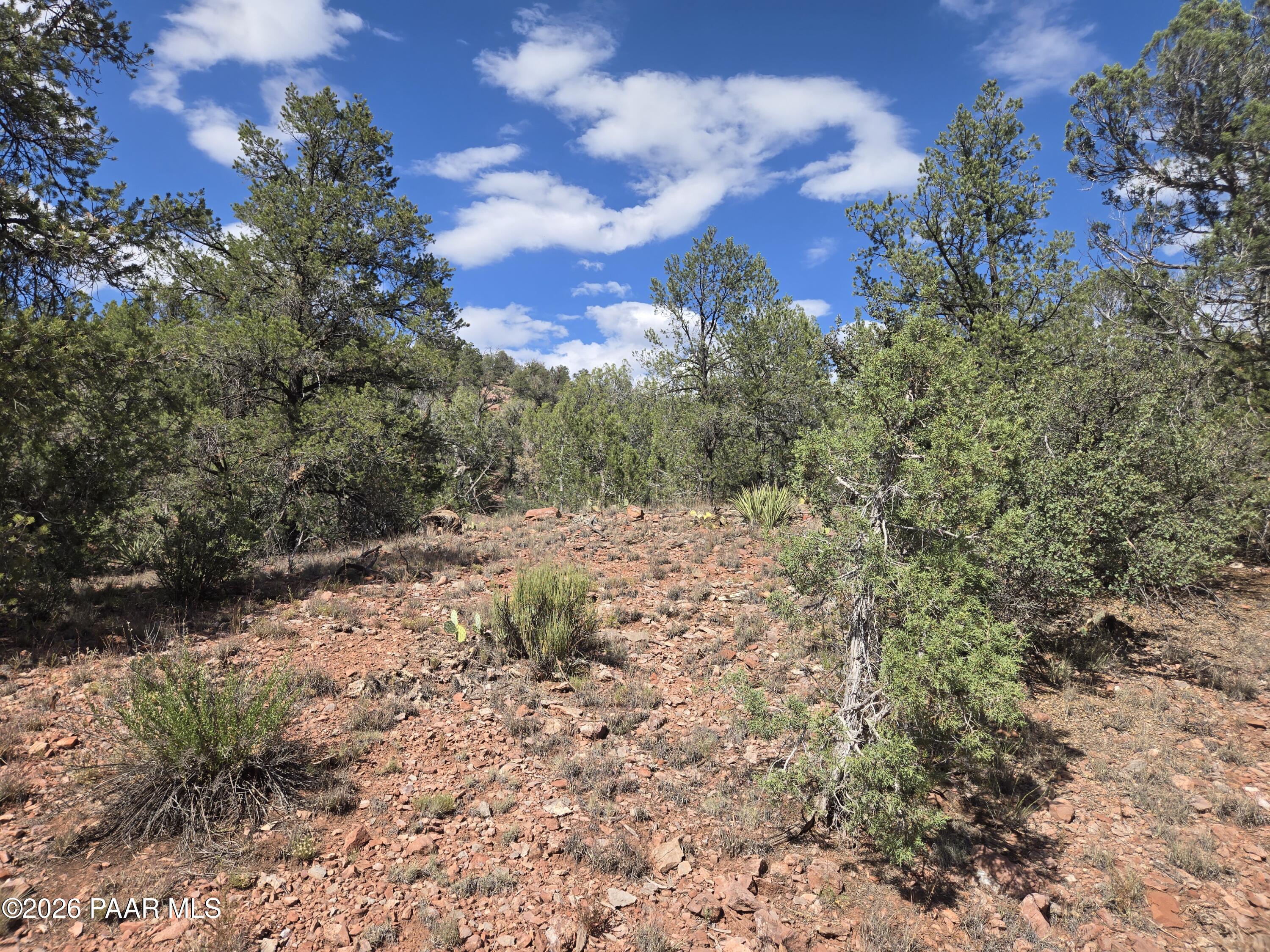 444-445 South Arizona Road Ash Fork, AZ 86320 - Photo 9 of 14 a view of a yard with a tree